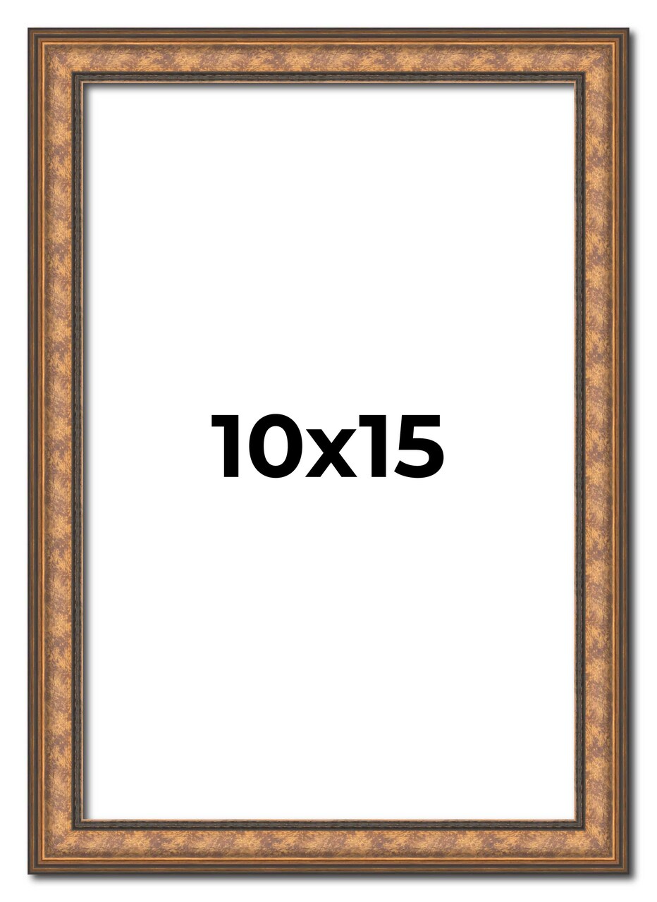 Photo Size Slim Profile Gold Picture Frame - UV Acrylic, Foam Board Backing, Hanging Hardware